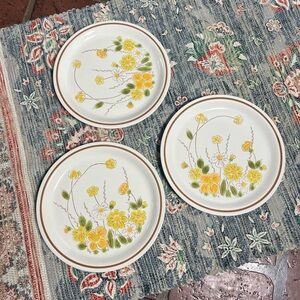 Ekco Eterna Camelot Spring Meadow Stoneware Dinner Plates – Set of 3